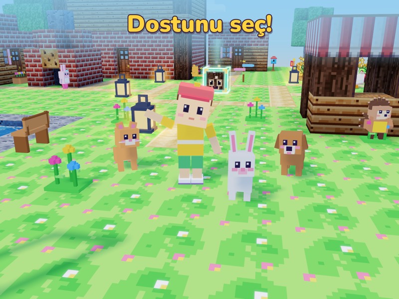 Dostunu seç! Kedi, tavşan ve köpek